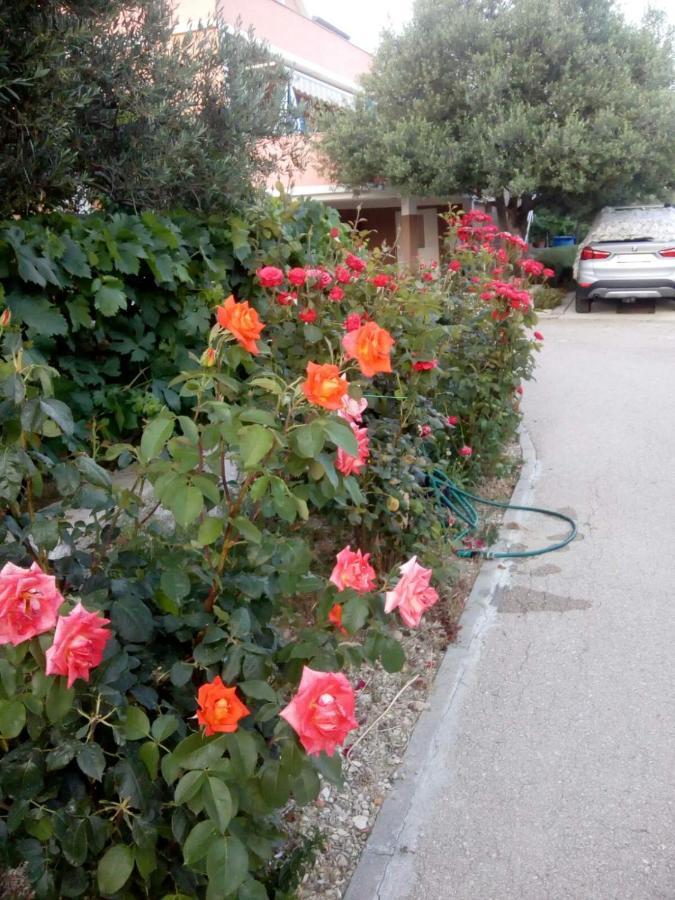 זאדאר Apartman Olive 2 מראה חיצוני תמונה